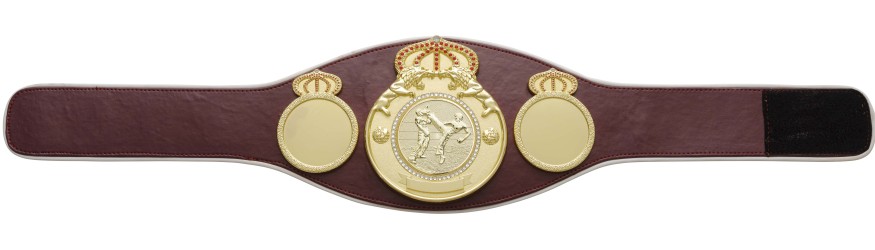 KICKBOXING CHAMPIONSHIP BELT PROLION/G/KBOG - AVAILABLE IN 6+ COLOURS KICKBOXING CHAMPIONSHIP BELT PROLION/G/KBOG - AVAILABLE IN 6+ COLOURS